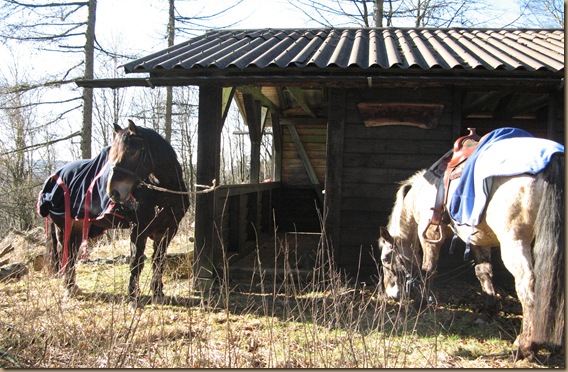 frühling 2008