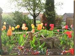 AprilMai 2012 050