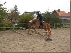 HerbstWinter 2011 006