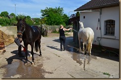 Frühjahrsausritt 2016 040