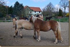 Winter und Frühjahr 2016 489