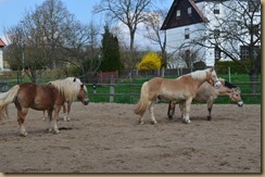 Winter und Frühjahr 2016 510