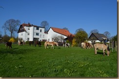Winter und Frühjahr 2016 598
