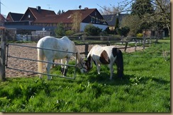 Winter und Frühjahr 2016 617