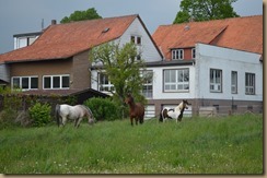 Meisdorf April und Mai 2016 327