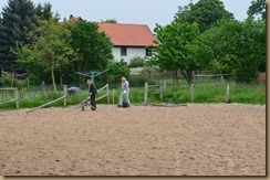 Baumassnahmen Mai 2016 027