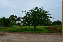 Juni2016 743