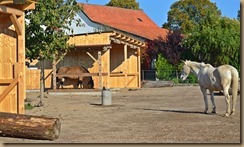 Anlagen-Einzug 15.Oktober 2016 089