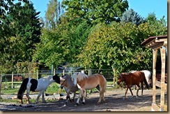Anlagen-Einzug 15.Oktober 2016 120