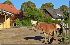 Anlagen-Einzug 15.Oktober 2016 144