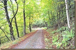 Herbstwanderung- Stall 2016 6