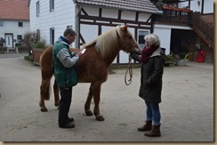 Cyrano neu und pferdewaage 2017 050