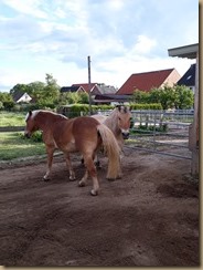 20170520_192515