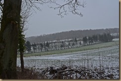 Grünkohlwanderung Februar 2018 013