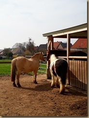 März und April Handy 515