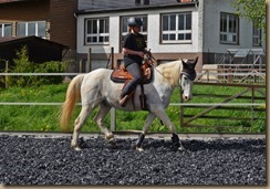 Reitwochenende 2.Einheit 152