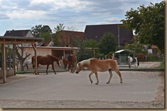 Anlage neu Anfang September 2018 043
