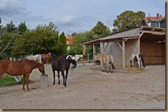 Anlage neu Anfang September 2018 046