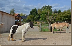 Anlage neu Anfang September 2018 054