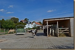 Anlage neu Anfang September 2018 071