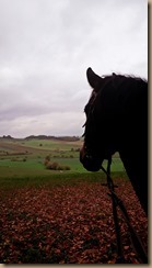 20181027_153148