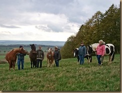 IMG-20181027-WA0012