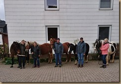 IMG-20181027-WA0015