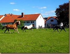 Handy Frühjahr 2019 017