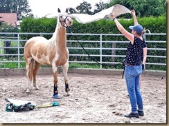 juli 2019 Handy 069