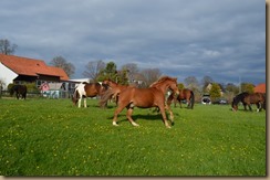 DSC_0744 DSC_0744