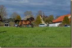 DSC_0822 DSC_0822