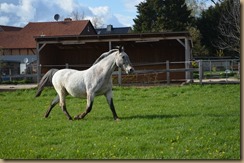 DSC_0928 DSC_0928