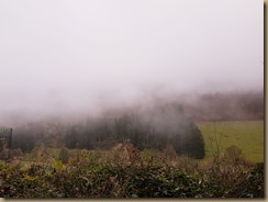 20241110_210931[1]