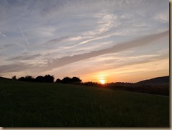 IMG-20250808-WA0035
